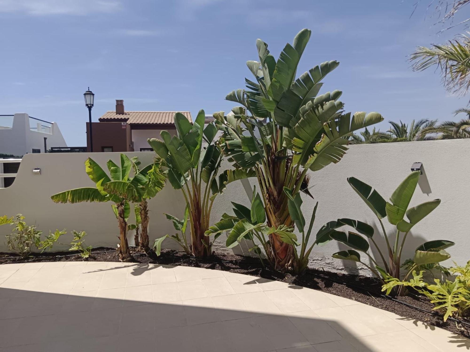 Homeforguest Flat With Large Terrace In Modern Residential Complex With Swimming Pool Caleta De Fuste Εξωτερικό φωτογραφία